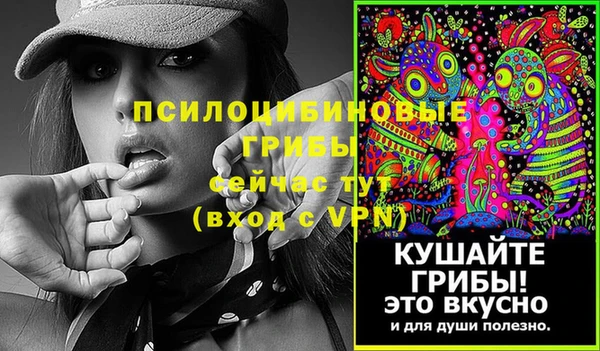 стафф Белокуриха