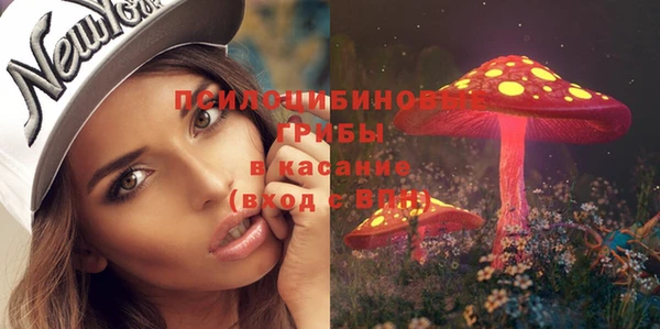 стафф Белокуриха