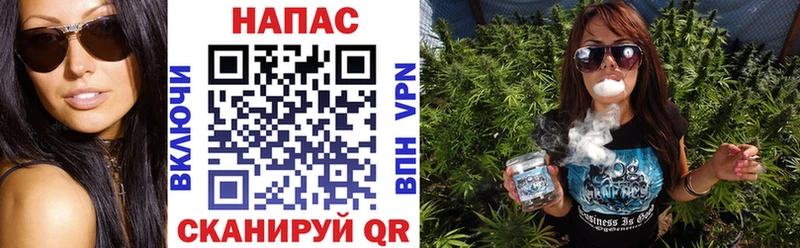 Конопля планчик Афипский